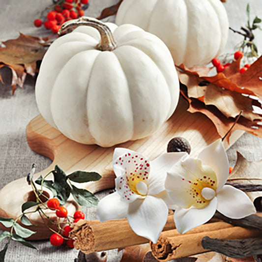 White Pumpkin Amber Scented Beads